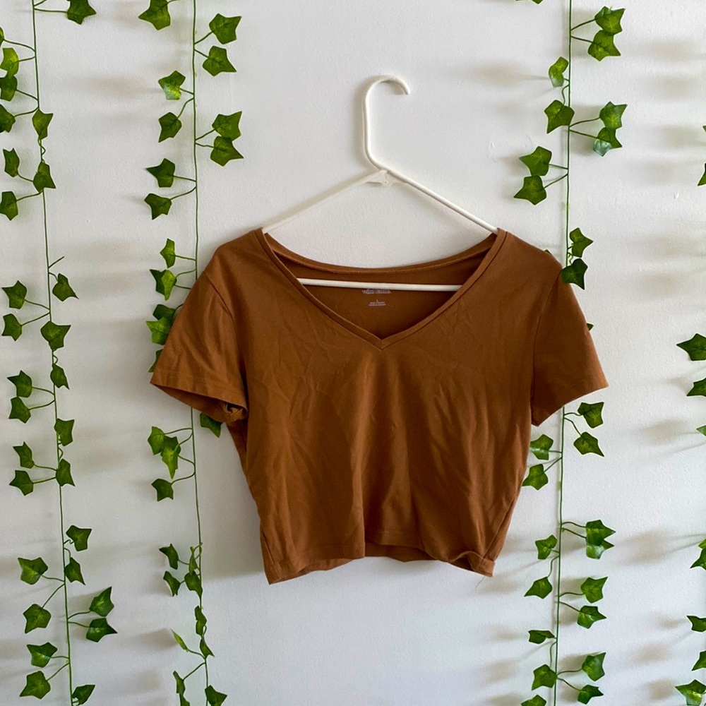 Brown Wild fable cropped tee
